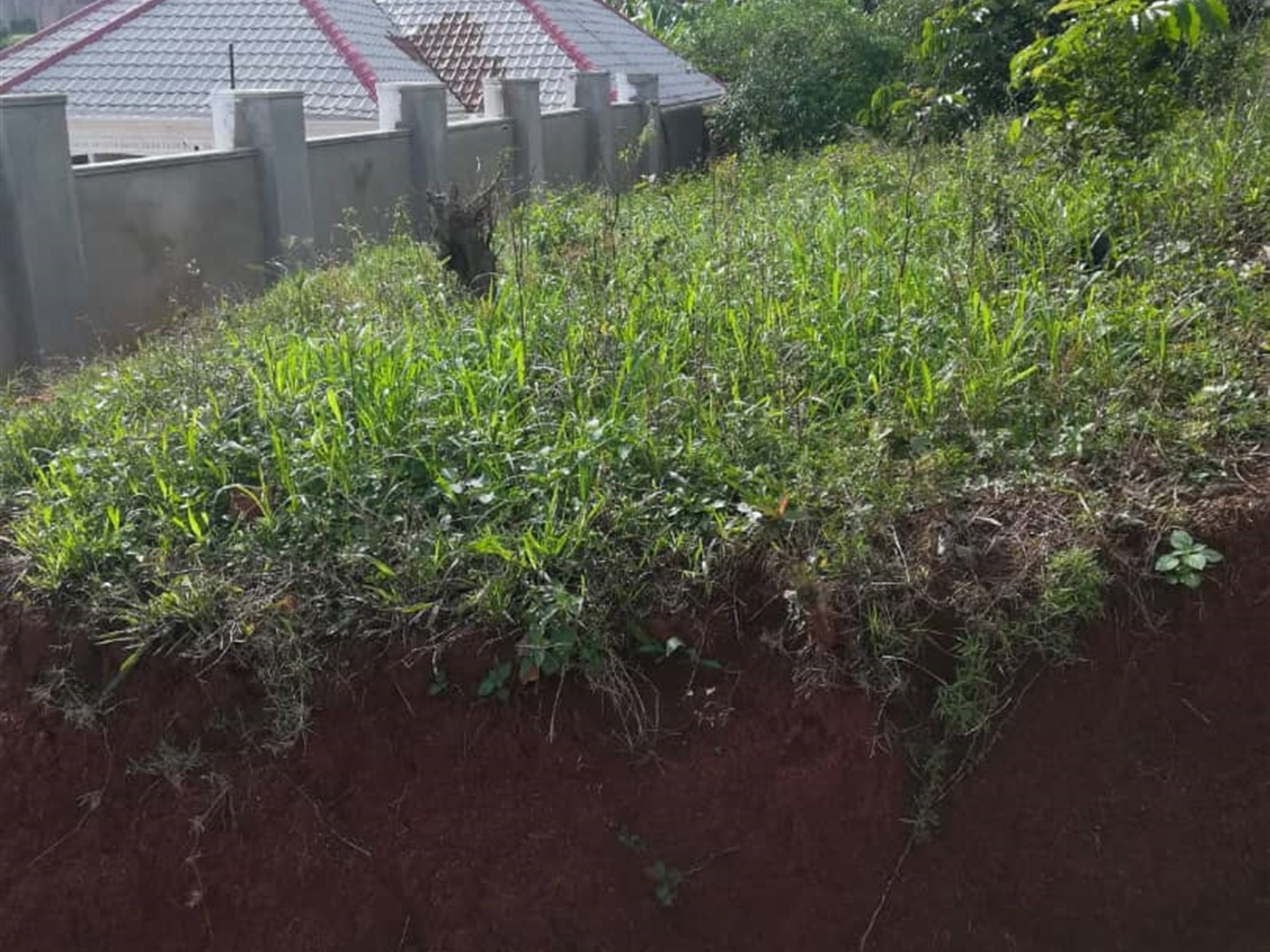 Residential Land for sale in Nabuuta Mukono