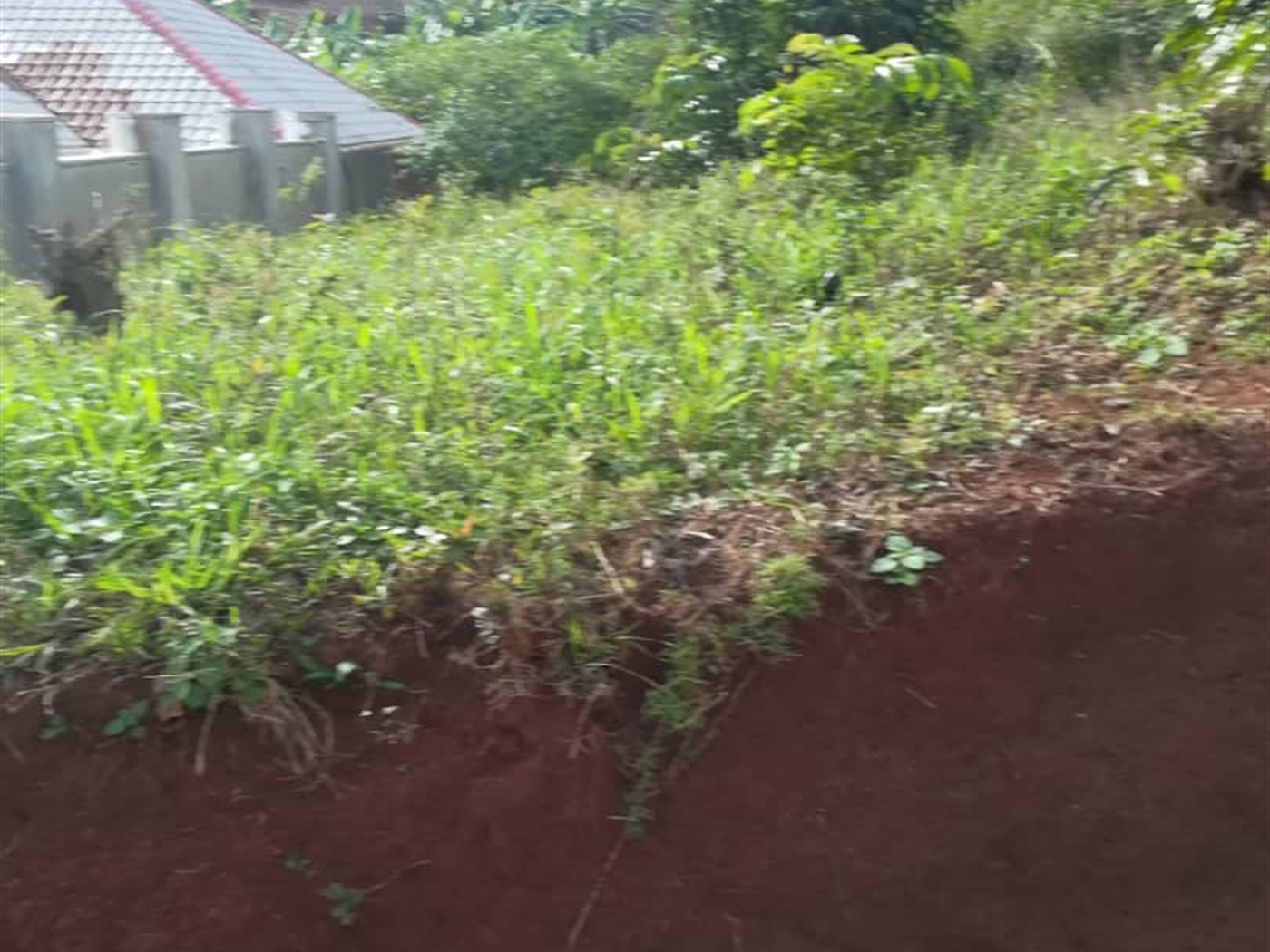 Residential Land for sale in Nabuuta Mukono