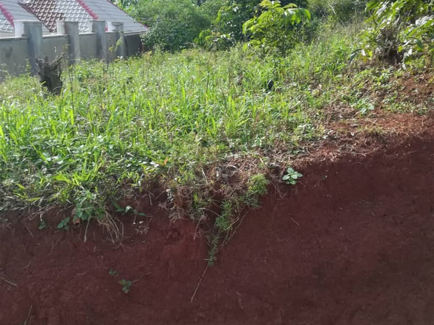 Residential Land for sale in Nabuuta Mukono