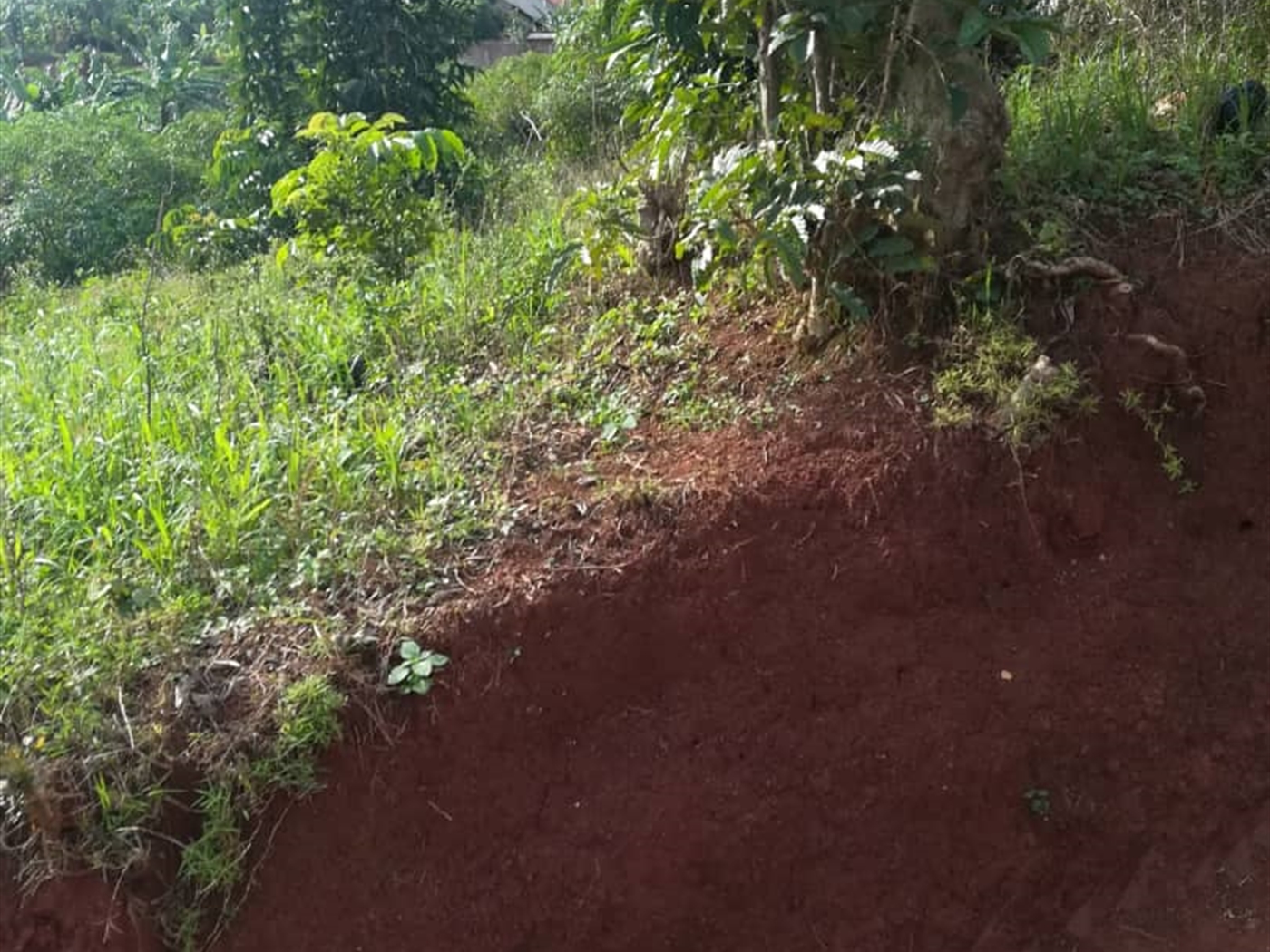 Residential Land for sale in Nabuuta Mukono