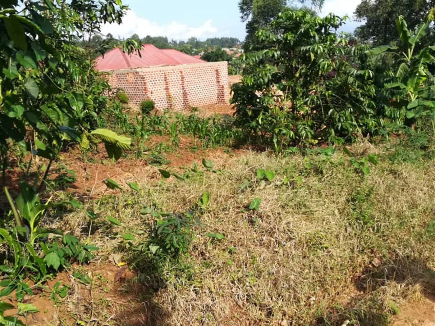 Residential Land for sale in Nabuuta Mukono