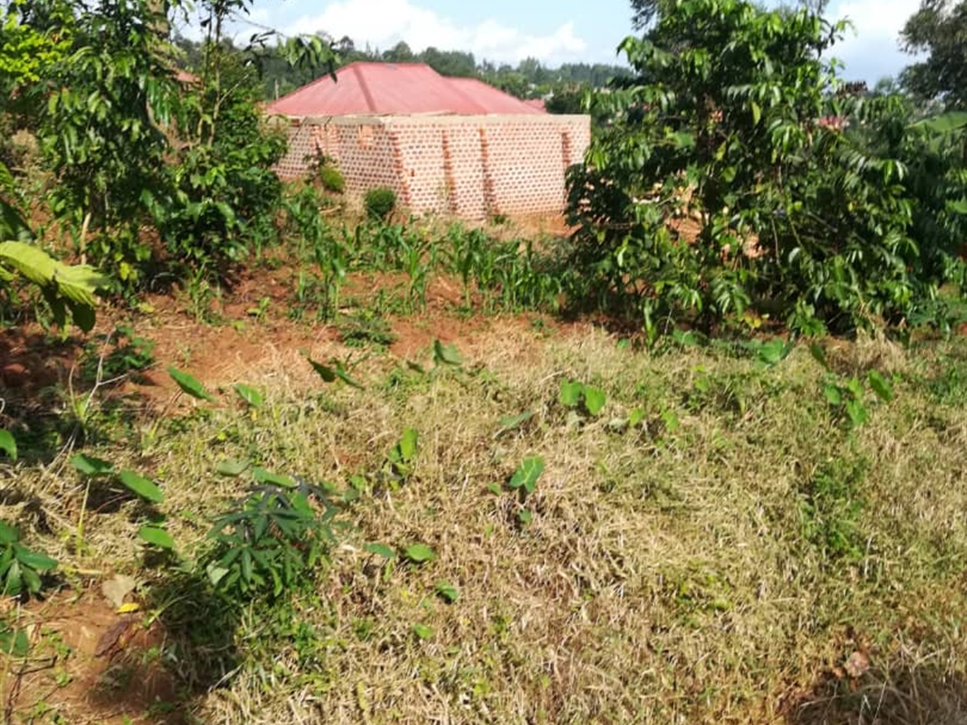 Residential Land for sale in Nabuuta Mukono