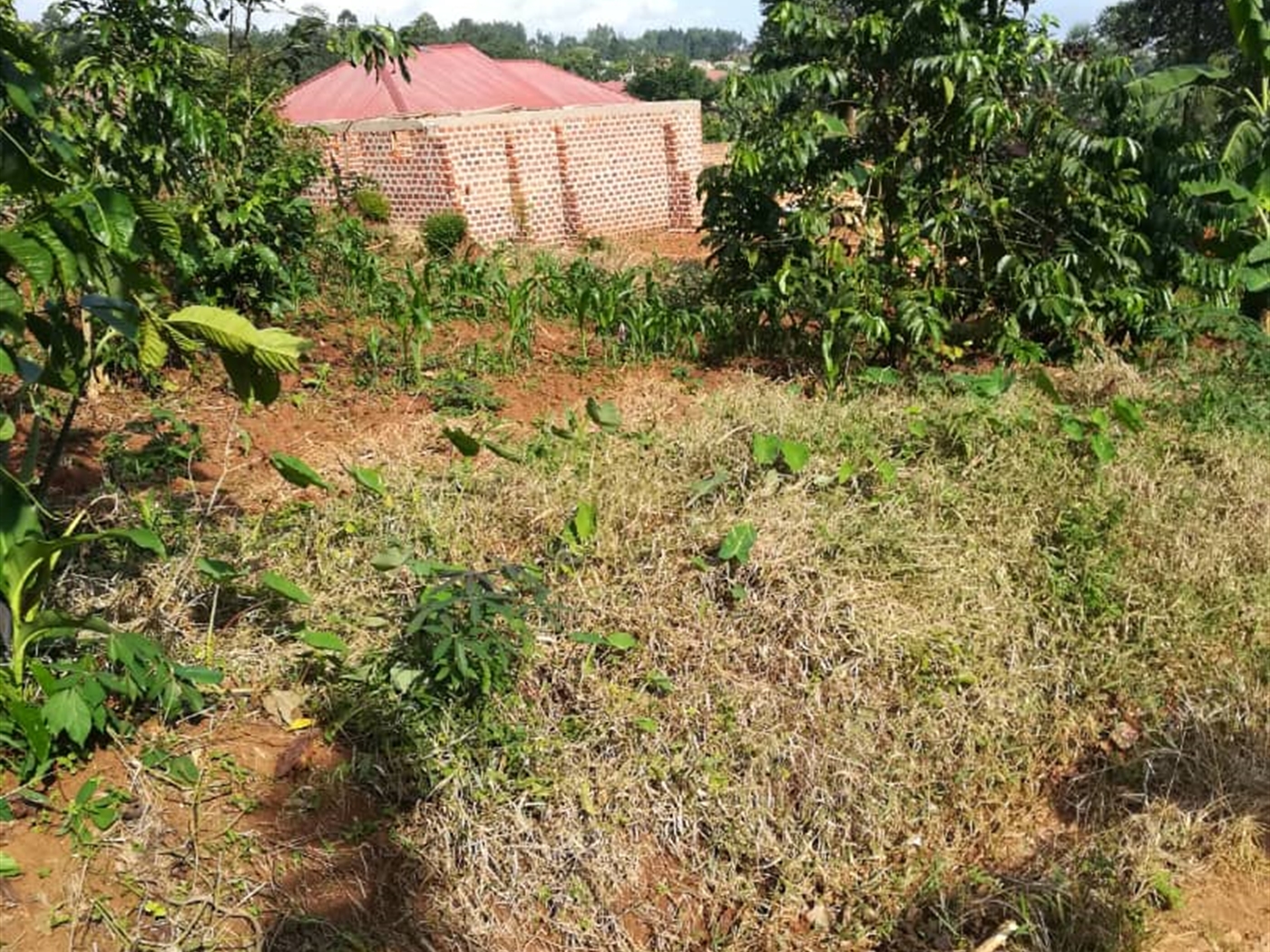 Residential Land for sale in Nabuuta Mukono