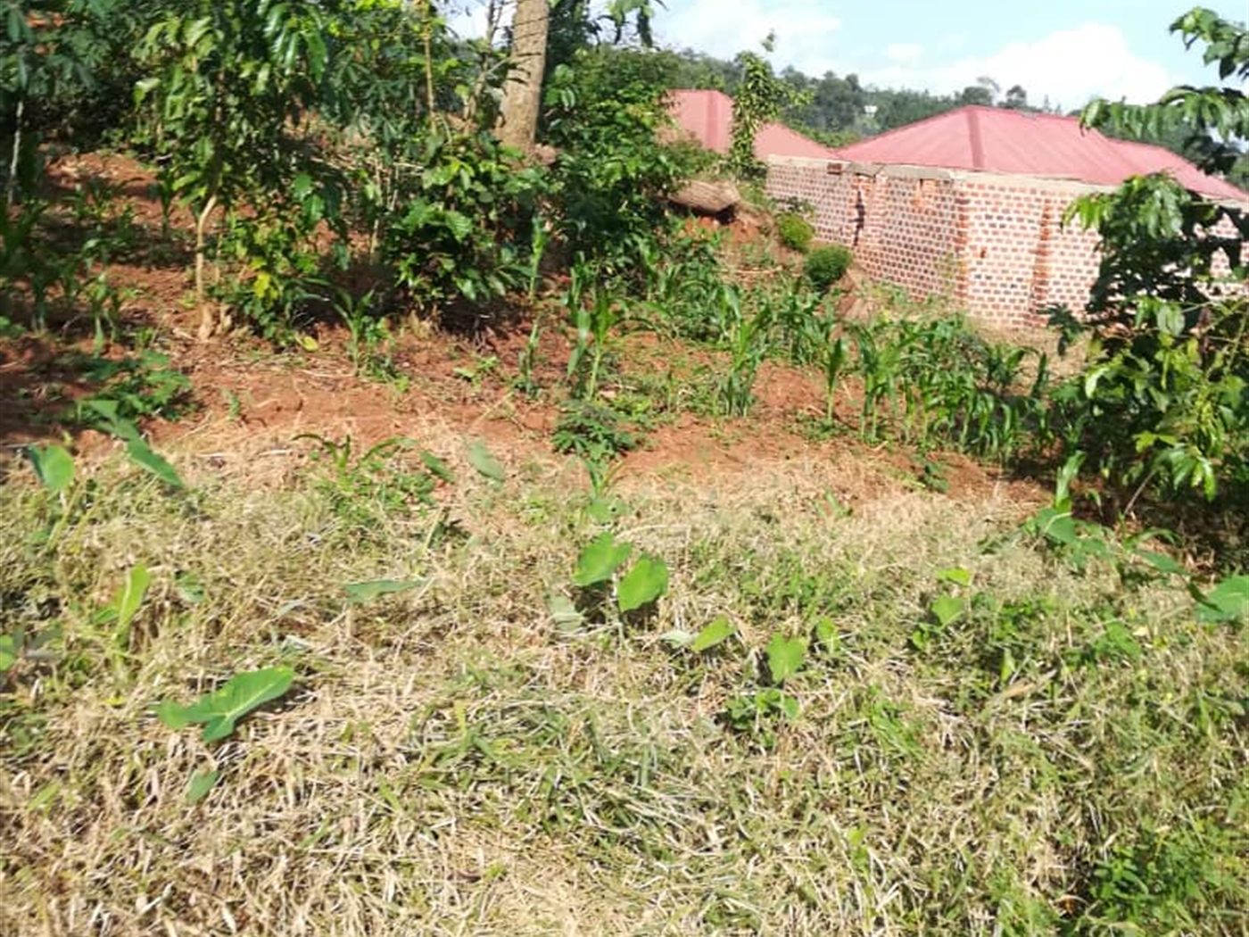 Residential Land for sale in Nabuuta Mukono