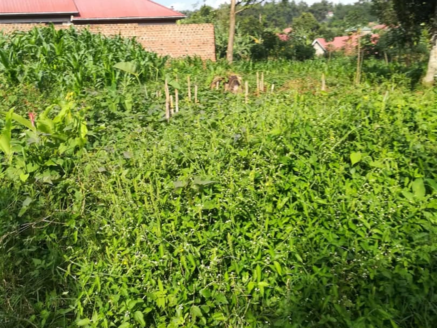 Residential Land for sale in Nabuuta Mukono