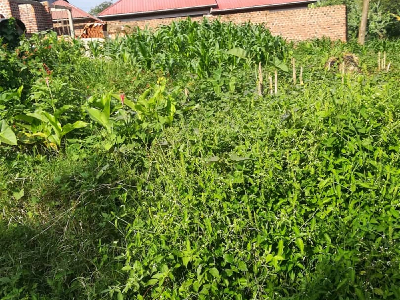 Residential Land for sale in Nabuuta Mukono