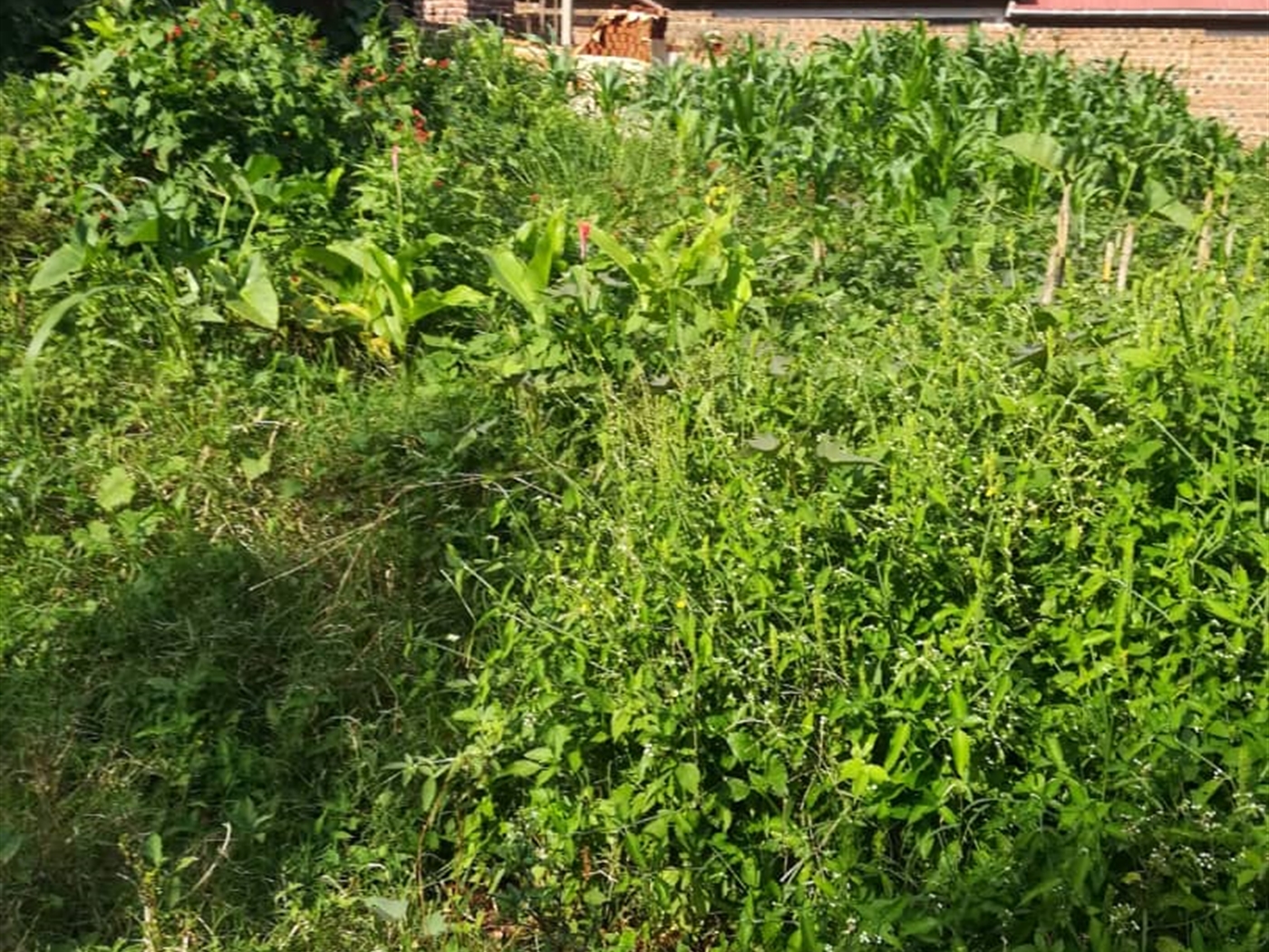 Residential Land for sale in Nabuuta Mukono