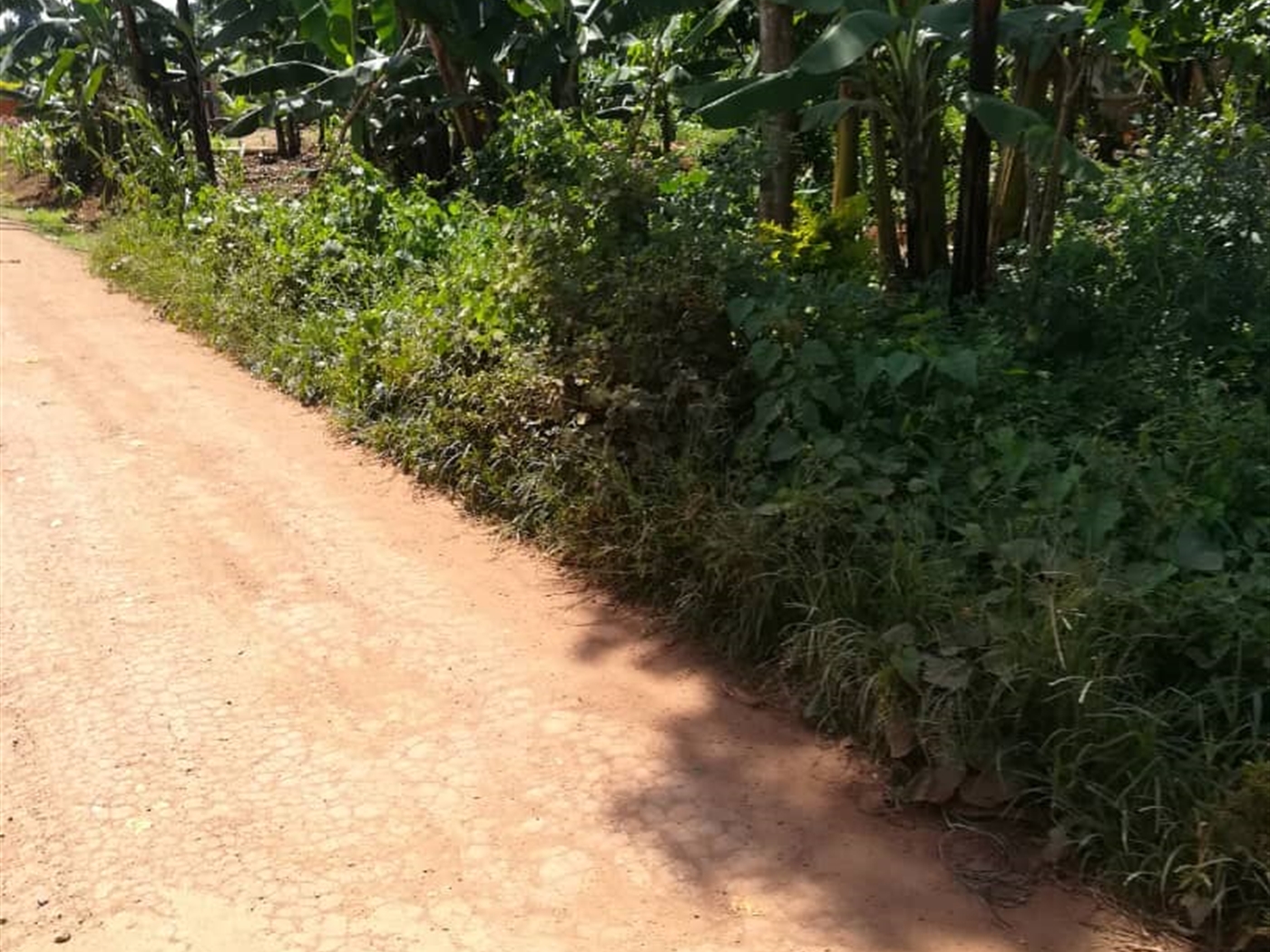 Residential Land for sale in Namawojjolo Mukono