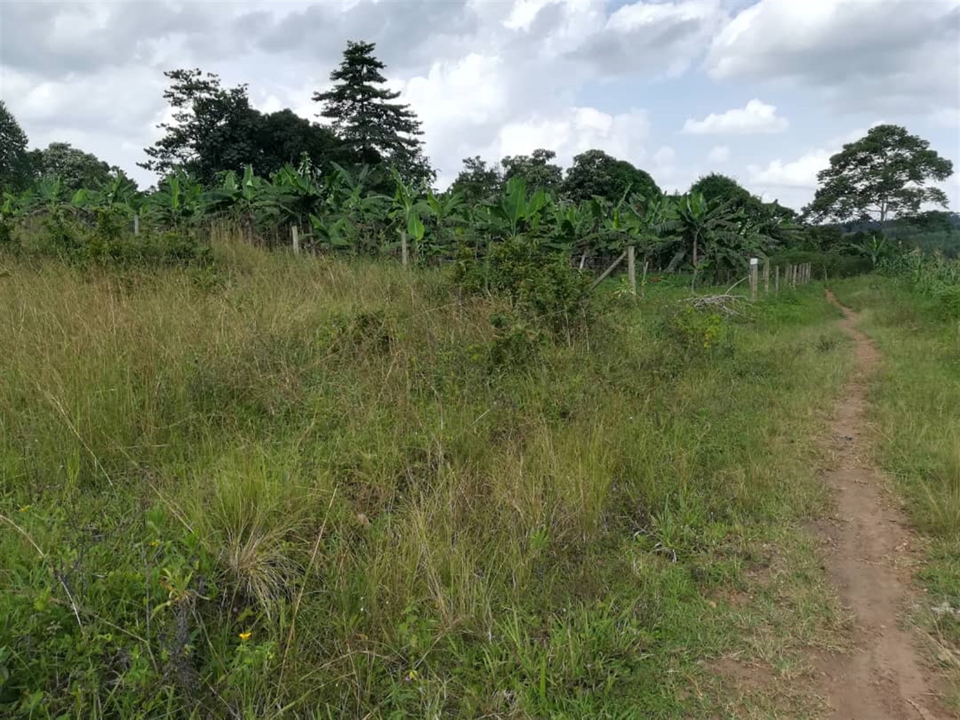 Residential Land for sale in Nabuuta Mukono