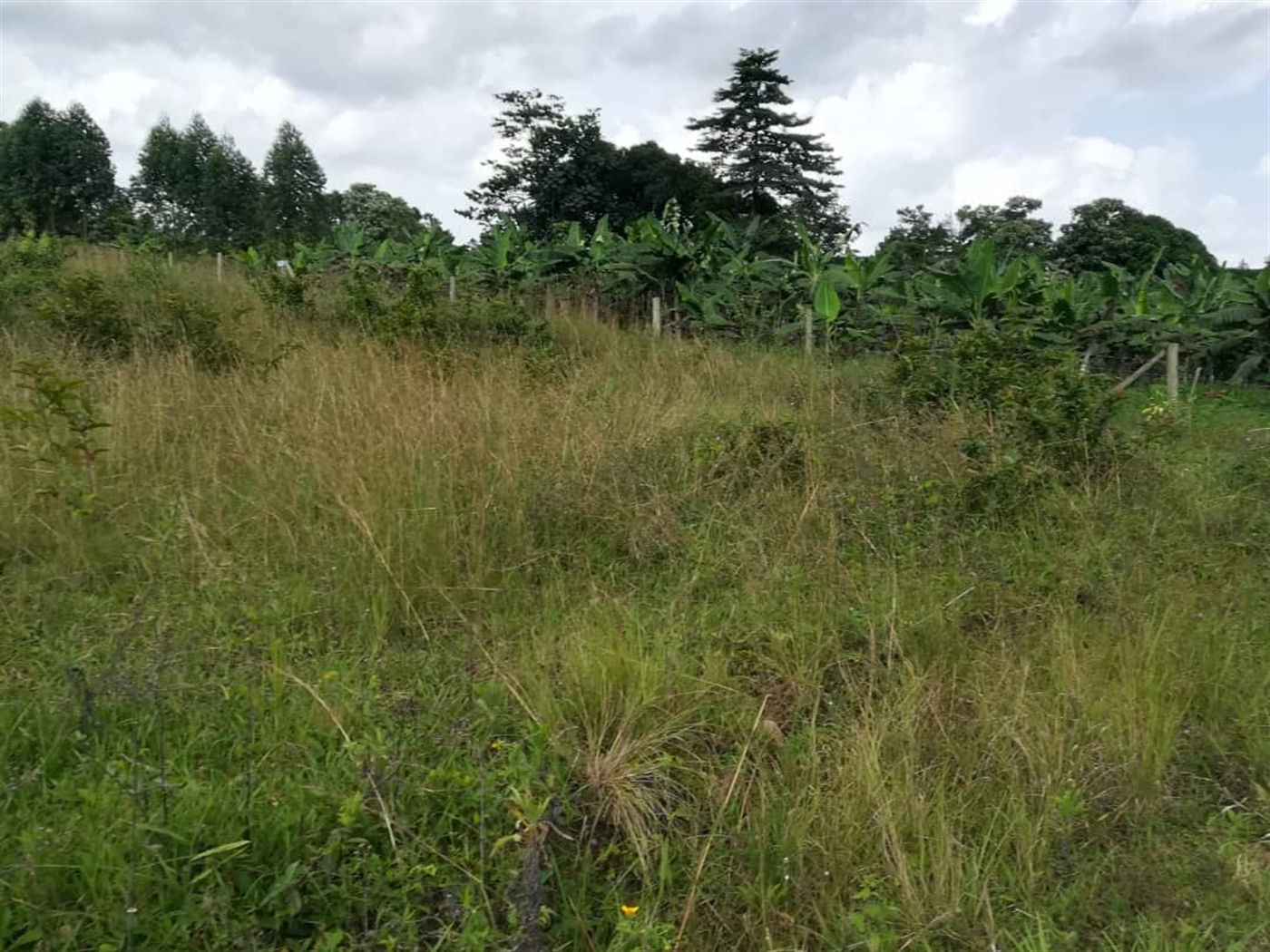 Residential Land for sale in Nabuuta Mukono