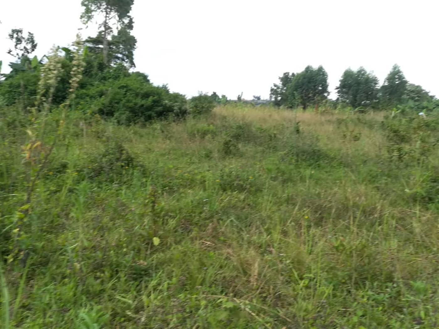 Residential Land for sale in Nabuuta Mukono