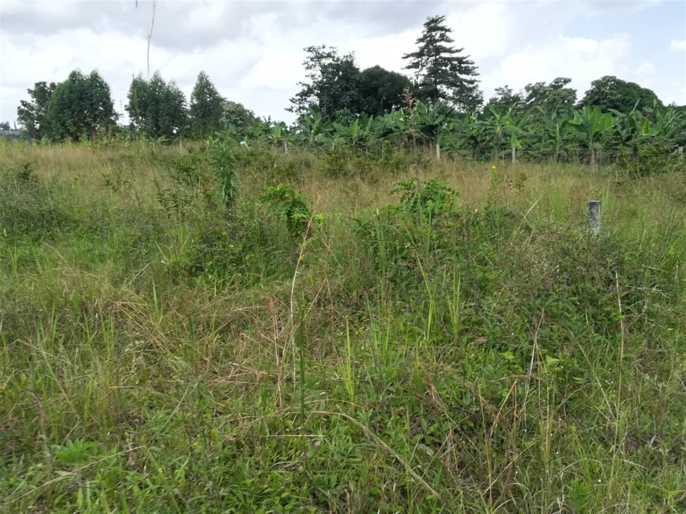 Residential Land for sale in Nabuuta Mukono