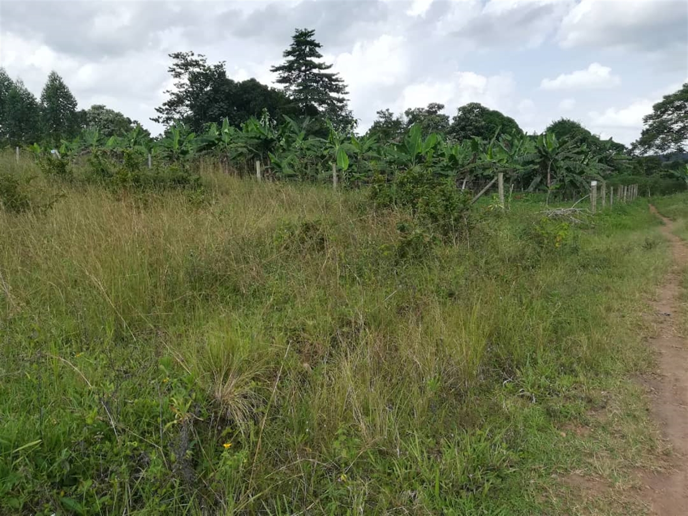 Residential Land for sale in Nabuuta Mukono