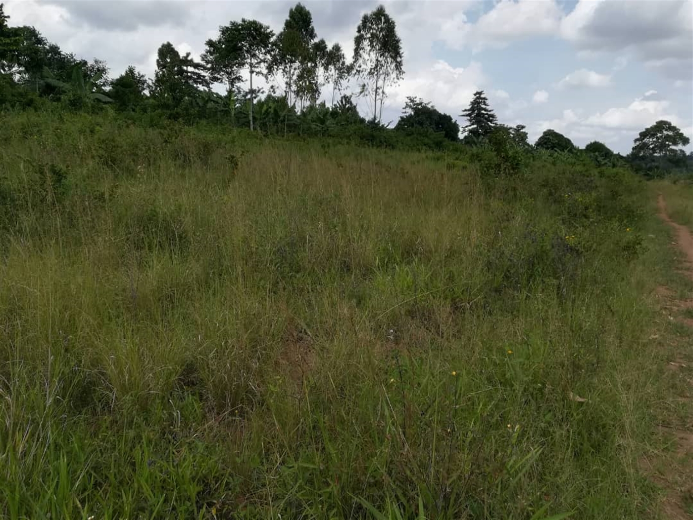 Residential Land for sale in Nabuuta Mukono