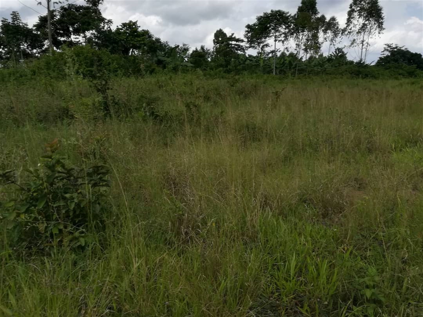 Residential Land for sale in Nabuuta Mukono