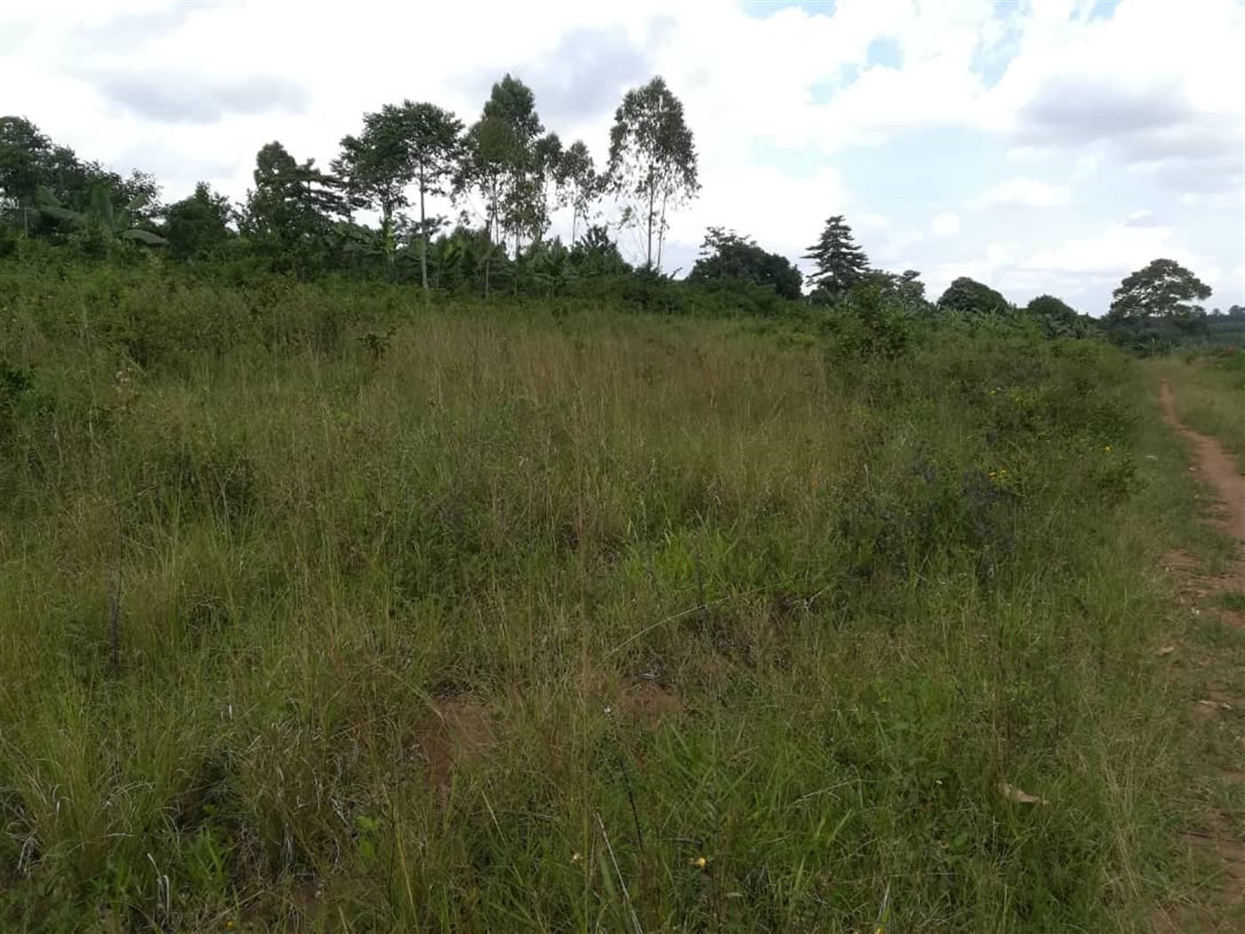 Residential Land for sale in Nabuuta Mukono