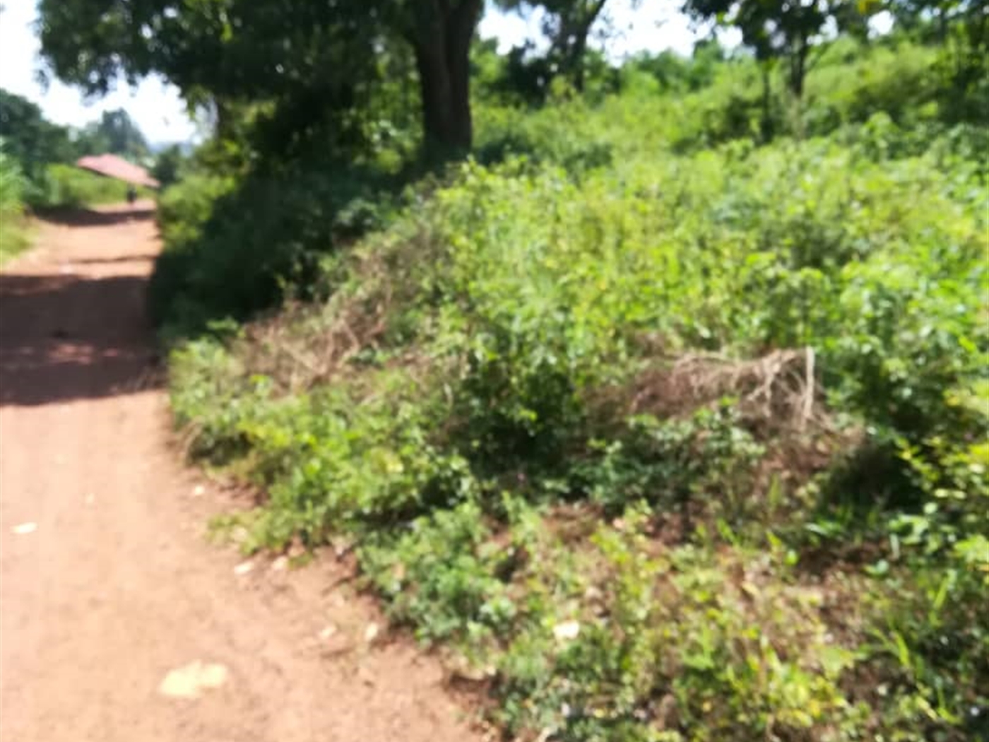 Residential Land for sale in Namawojjolo Mukono