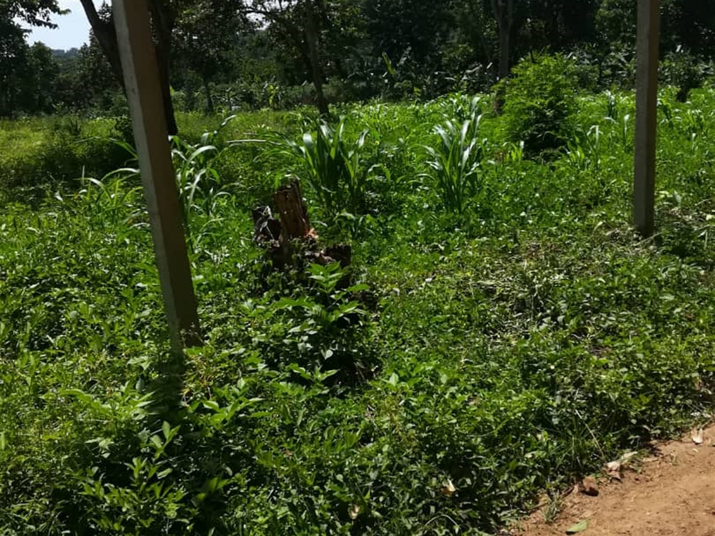 Residential Land for sale in Namawojjolo Mukono