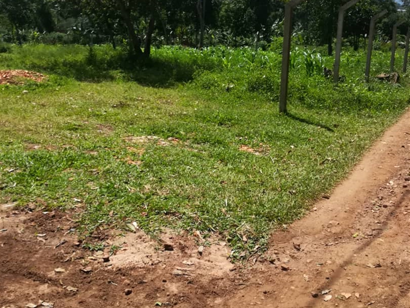 Residential Land for sale in Namawojjolo Mukono