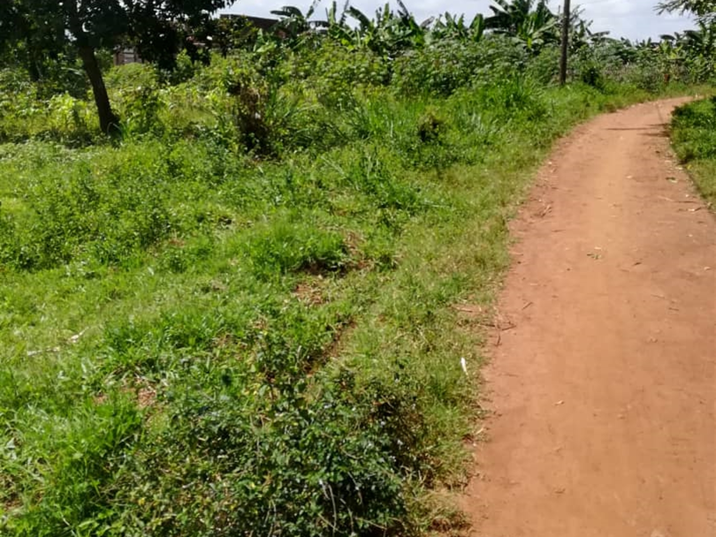 Residential Land for sale in Namawojjolo Mukono