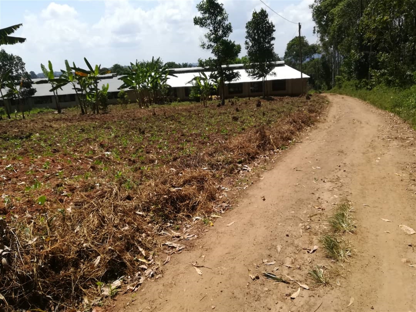 Residential Land for sale in Namawojjolo Mukono