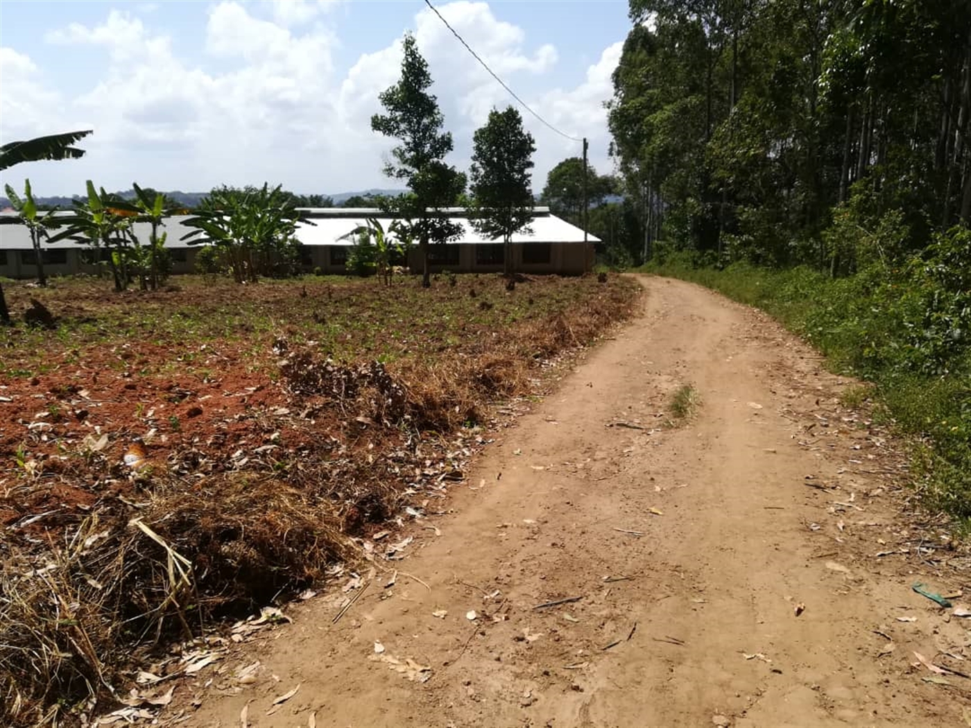 Residential Land for sale in Namawojjolo Mukono