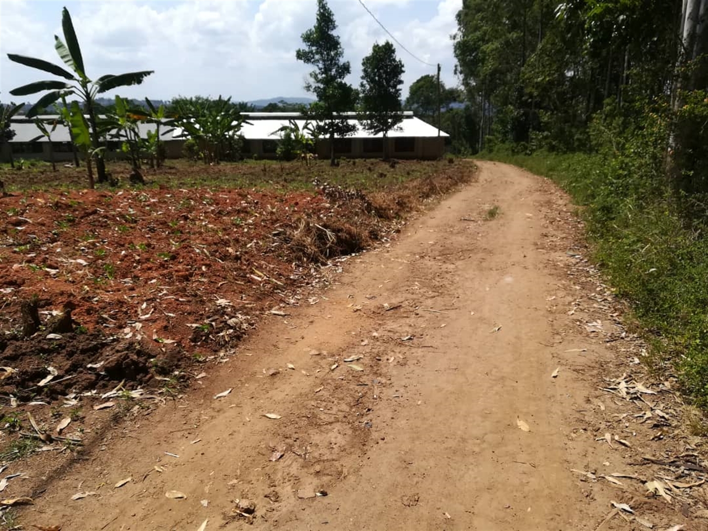 Residential Land for sale in Namawojjolo Mukono