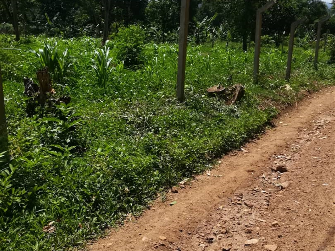 Residential Land for sale in Namawojjolo Mukono