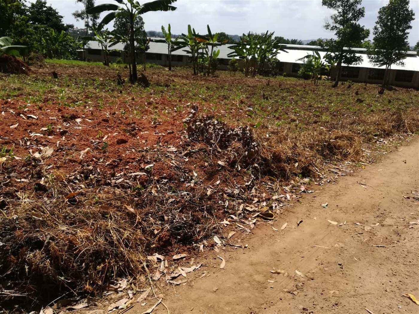 Residential Land for sale in Namawojjolo Mukono