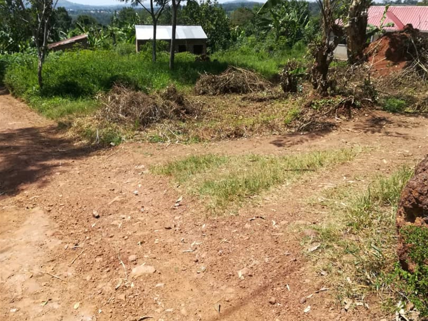 Residential Land for sale in Namawojjolo Mukono