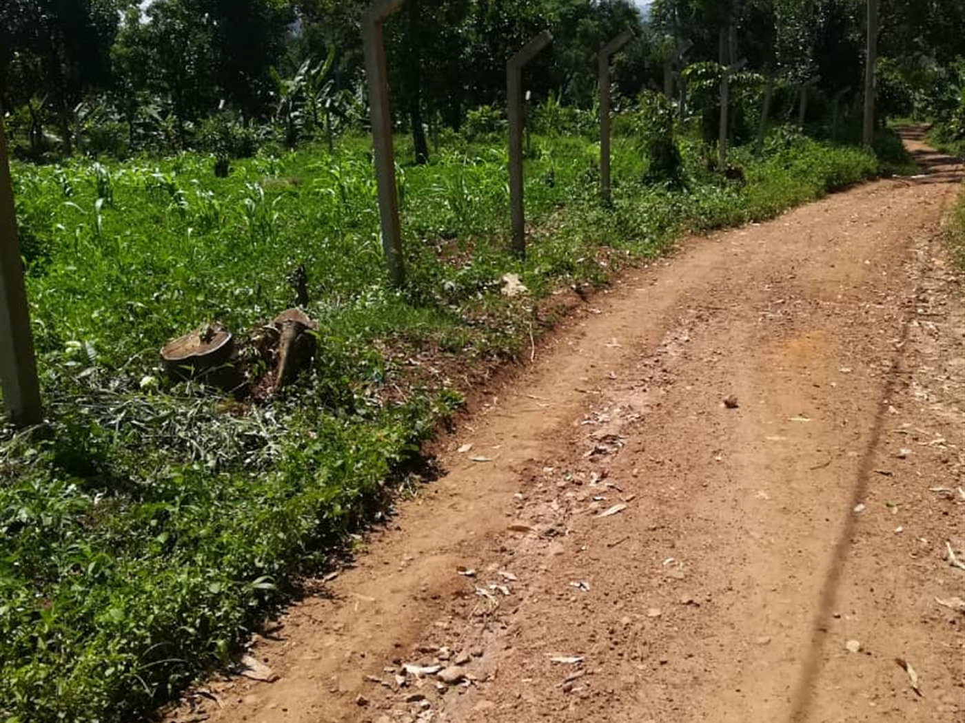 Residential Land for sale in Namawojjolo Mukono