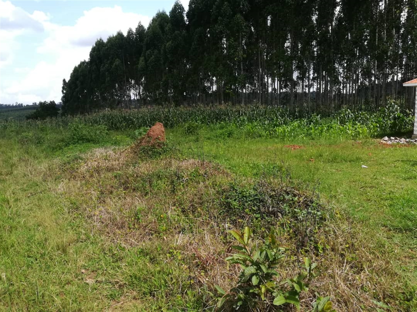 Residential Land for sale in Nabuuta Mukono