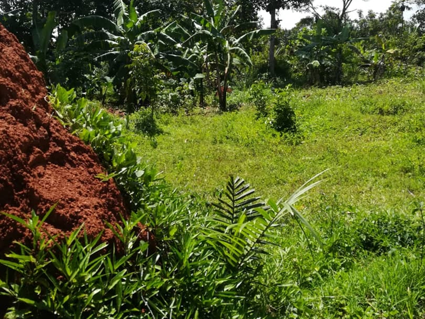 Residential Land for sale in Namawojjolo Mukono