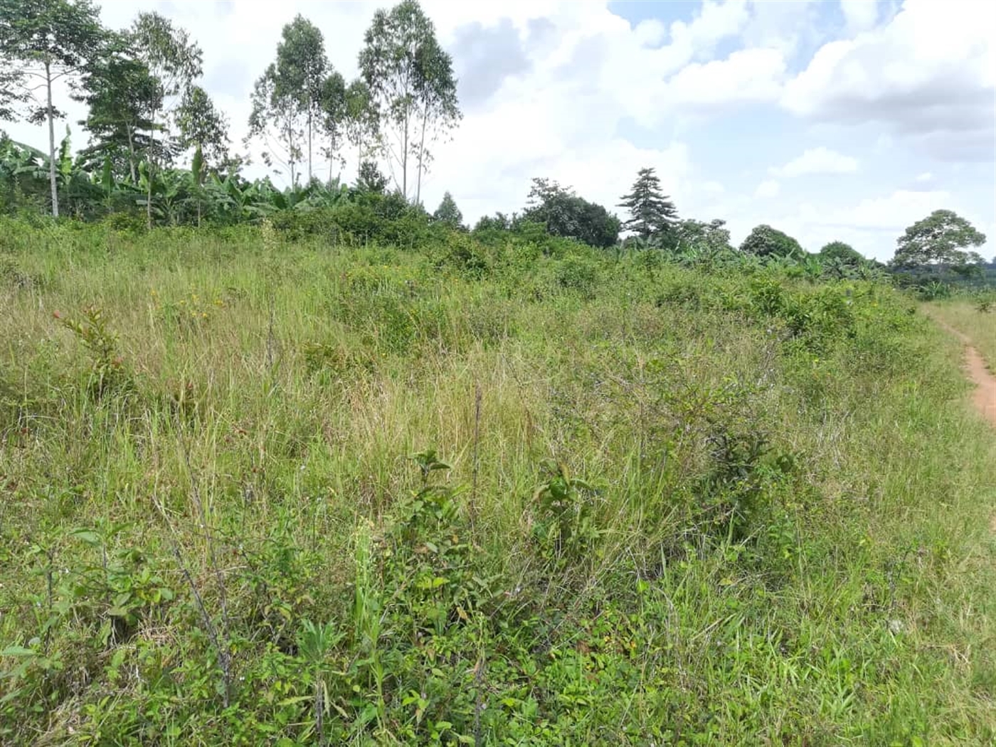 Residential Land for sale in Nabuuta Mukono