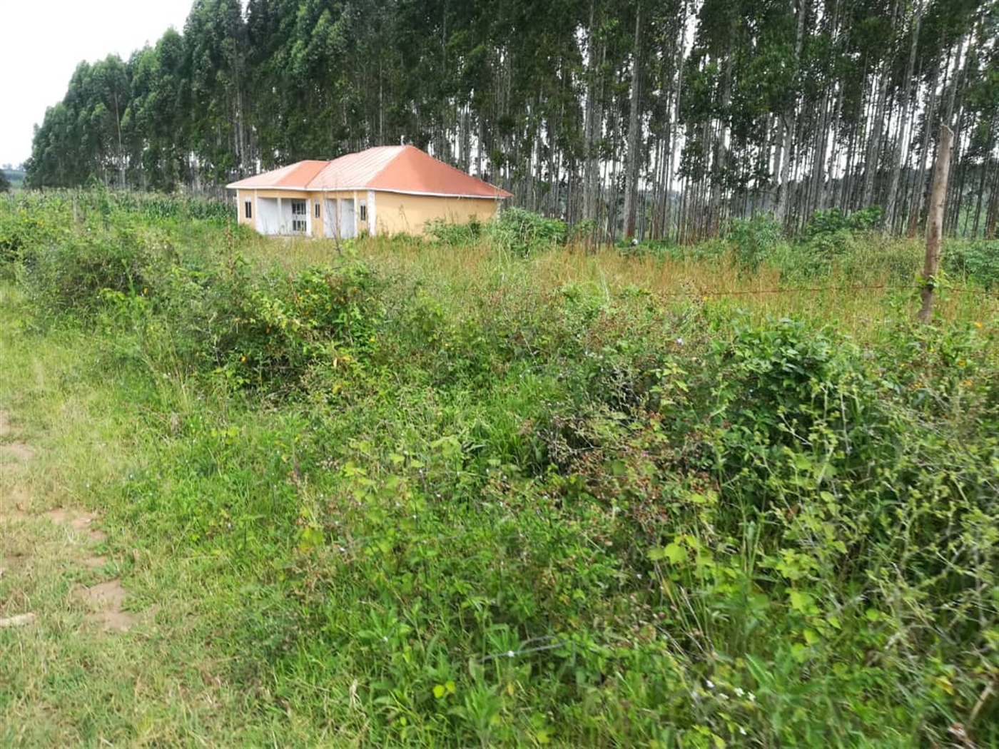 Residential Land for sale in Nabuuta Mukono