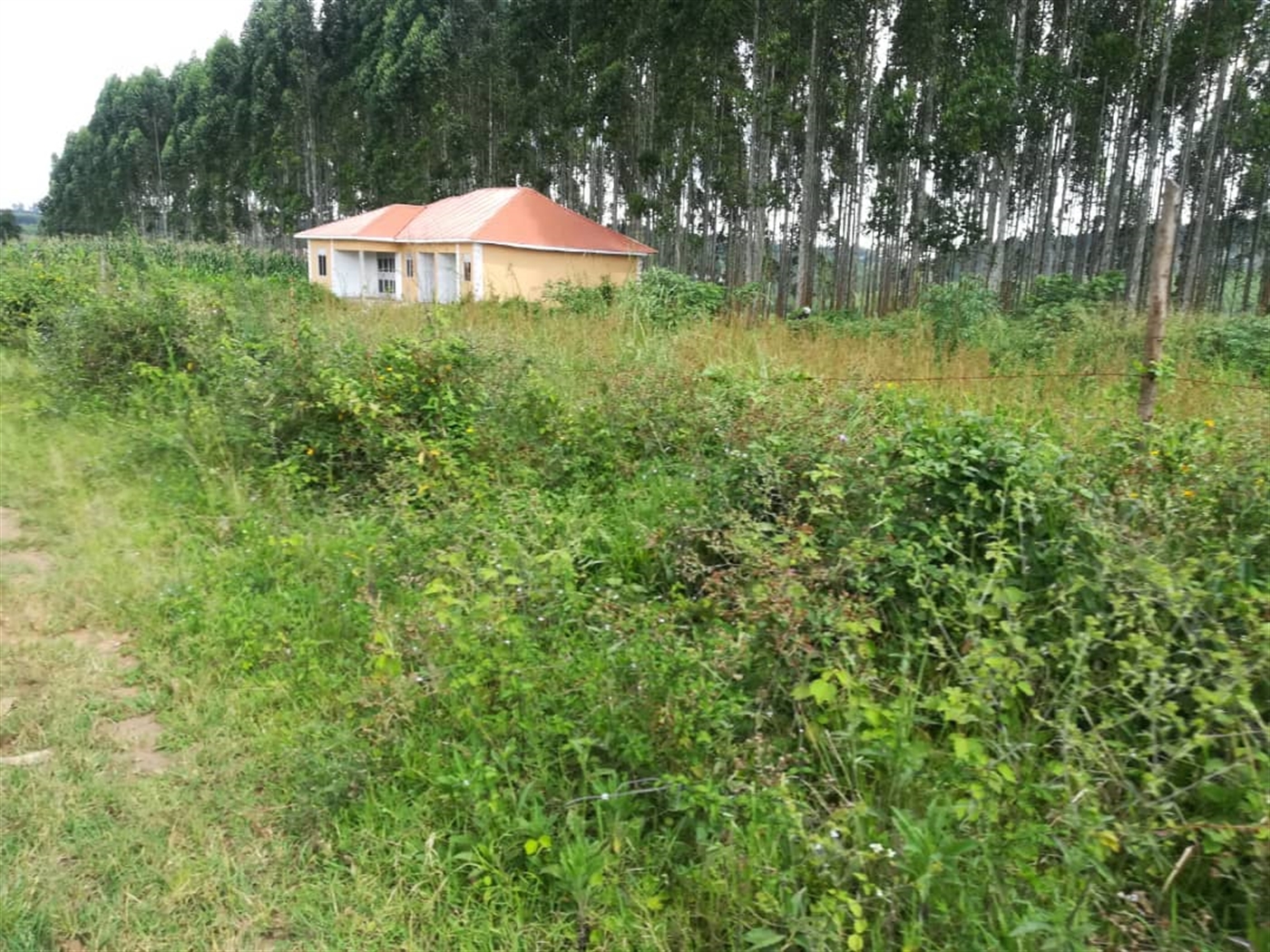 Residential Land for sale in Nabuuta Mukono