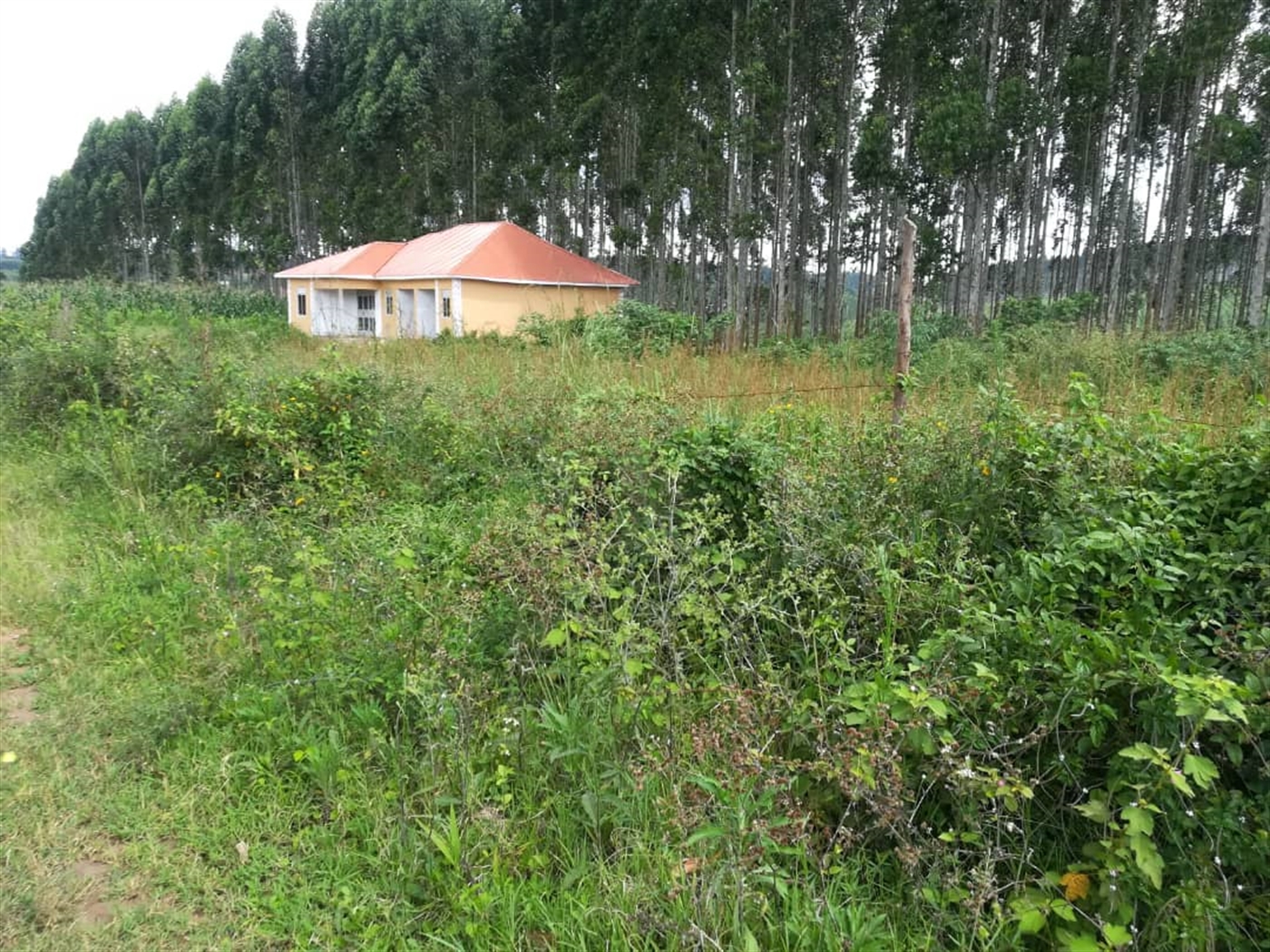 Residential Land for sale in Nabuuta Mukono