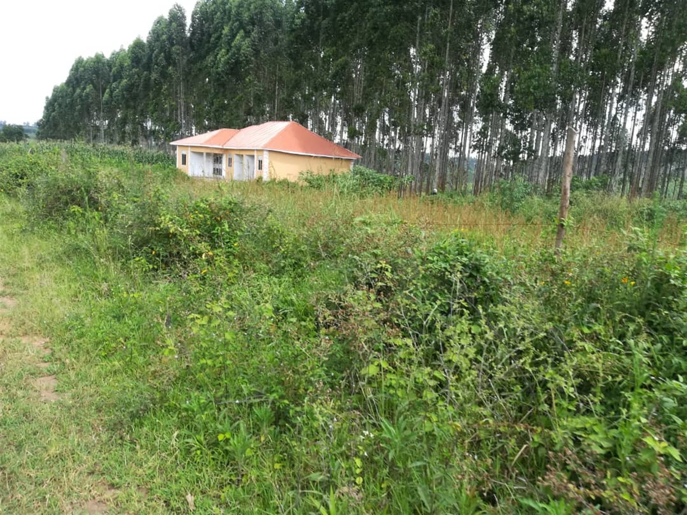 Residential Land for sale in Nabuuta Mukono