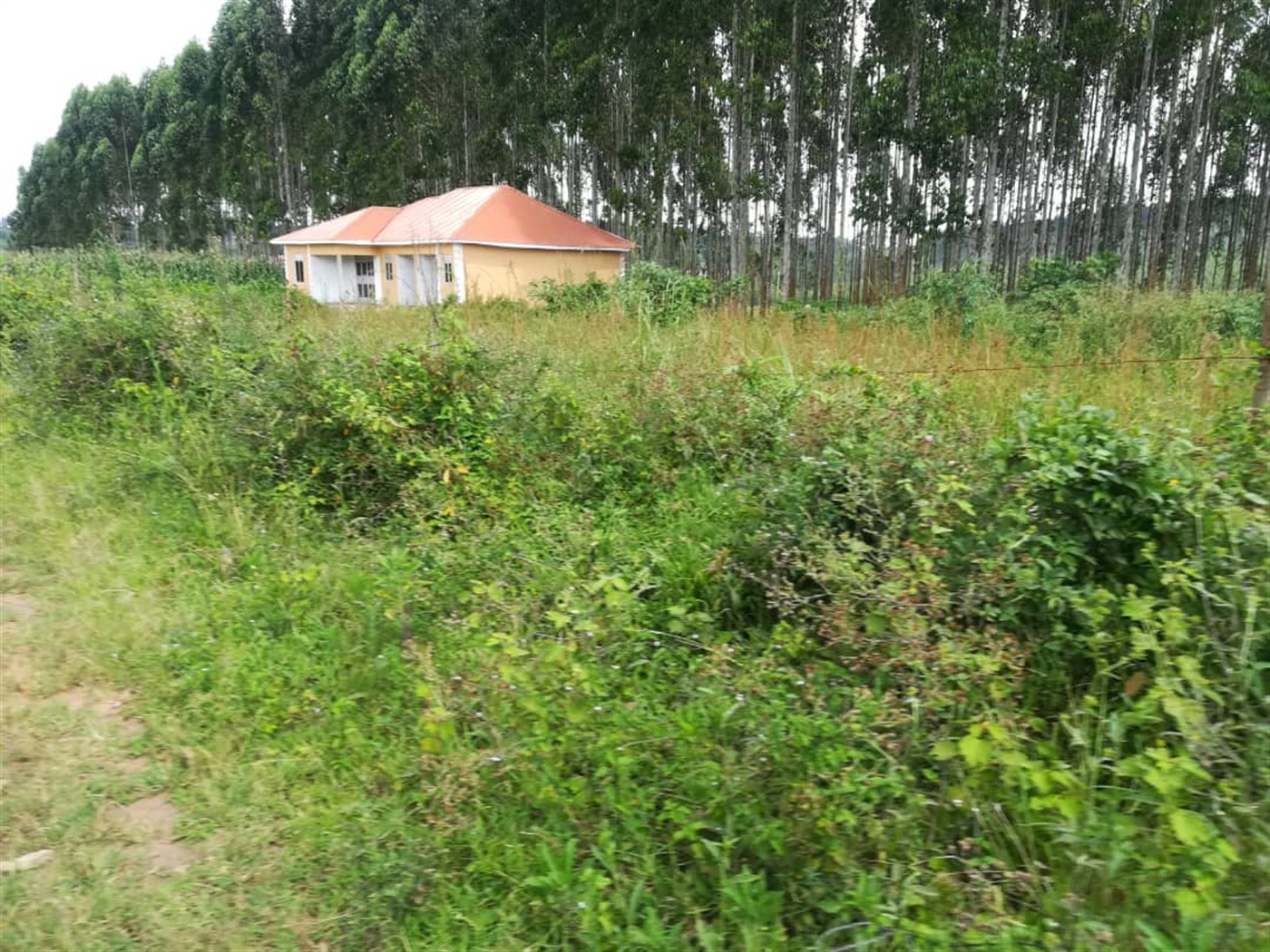 Residential Land for sale in Nabuuta Mukono