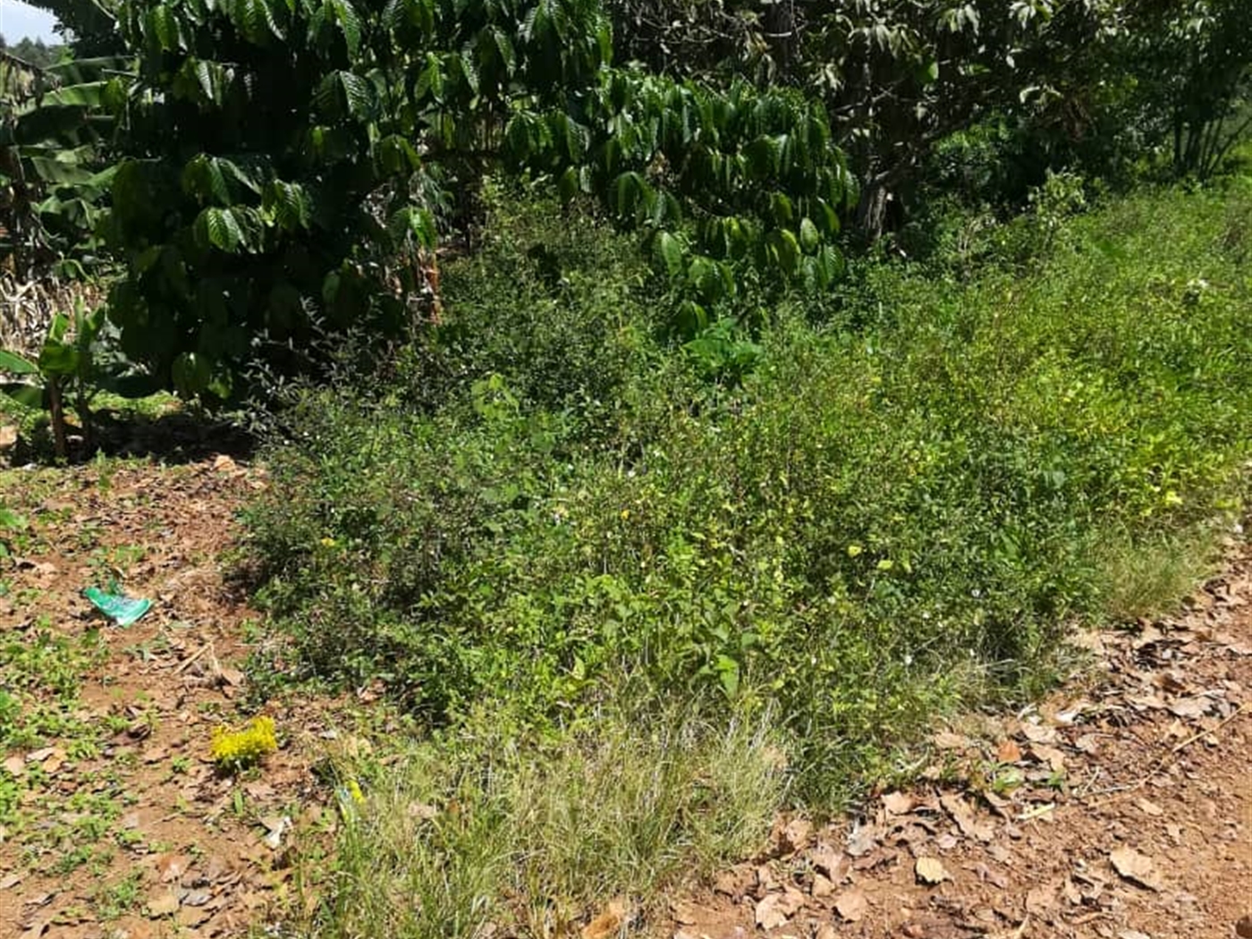 Residential Land for sale in Namawojjolo Mukono