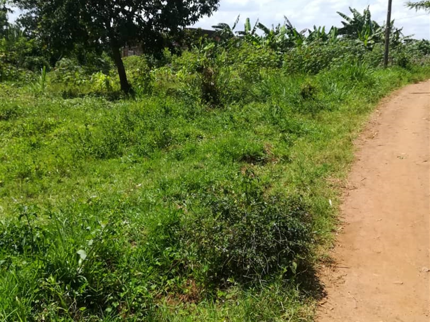 Residential Land for sale in Namawojjolo Mukono