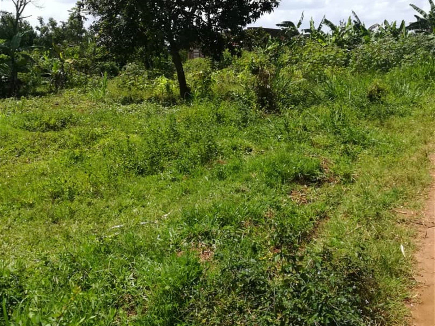 Residential Land for sale in Namawojjolo Mukono