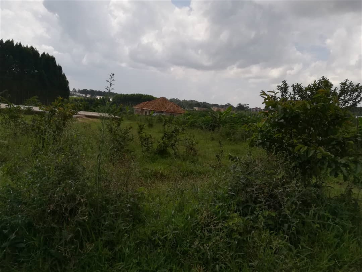 Residential Land for sale in Nabuuta Mukono