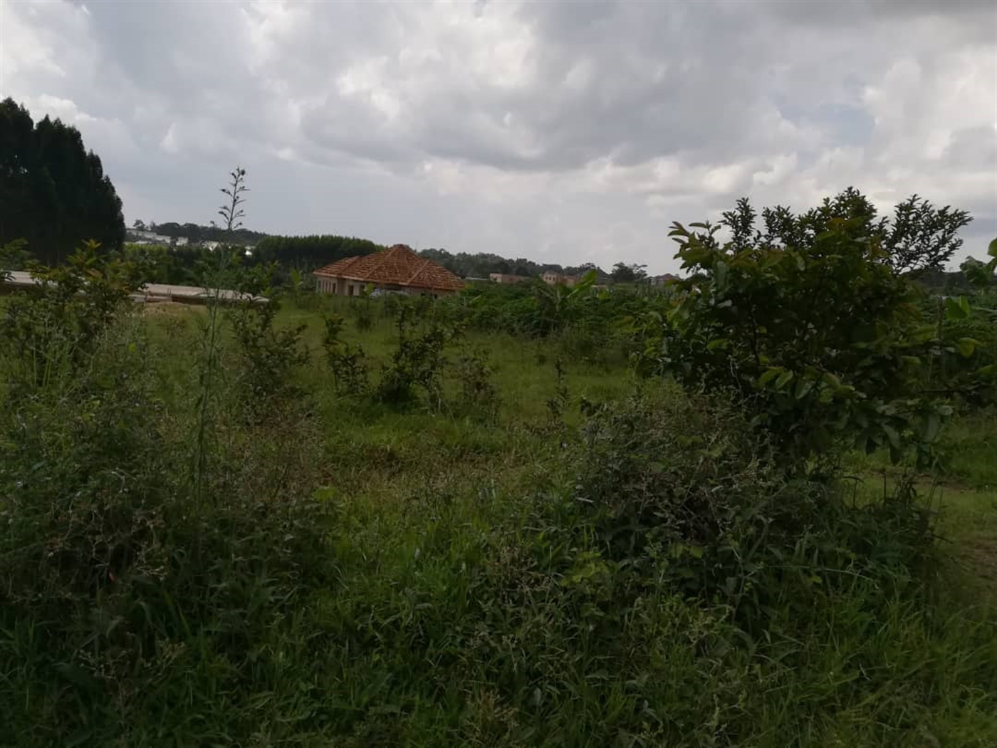 Residential Land for sale in Nabuuta Mukono