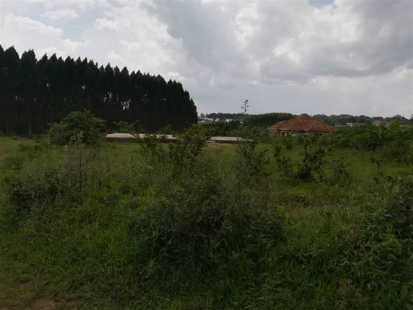 Residential Land for sale in Nabuuta Mukono