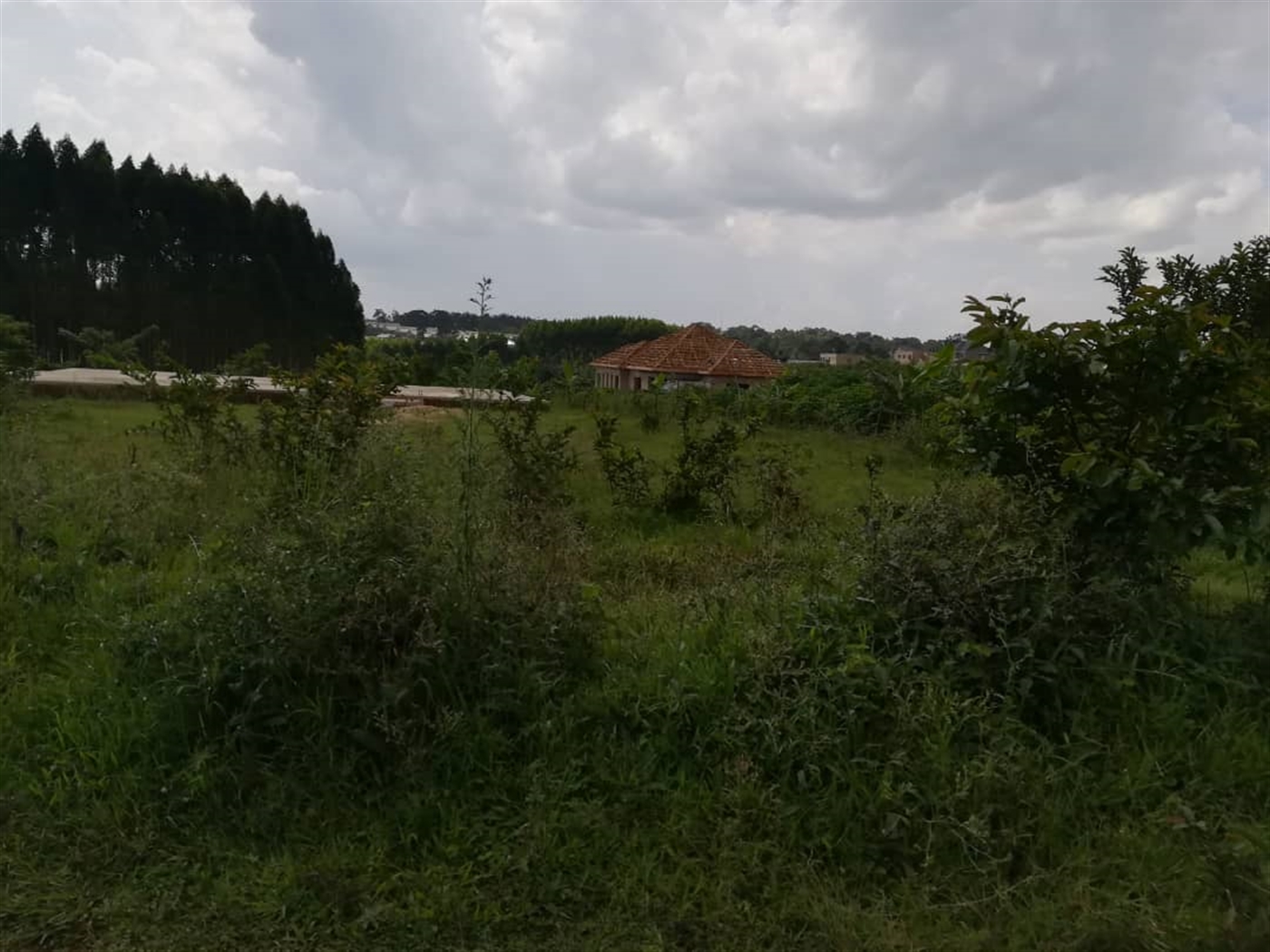 Residential Land for sale in Nabuuta Mukono