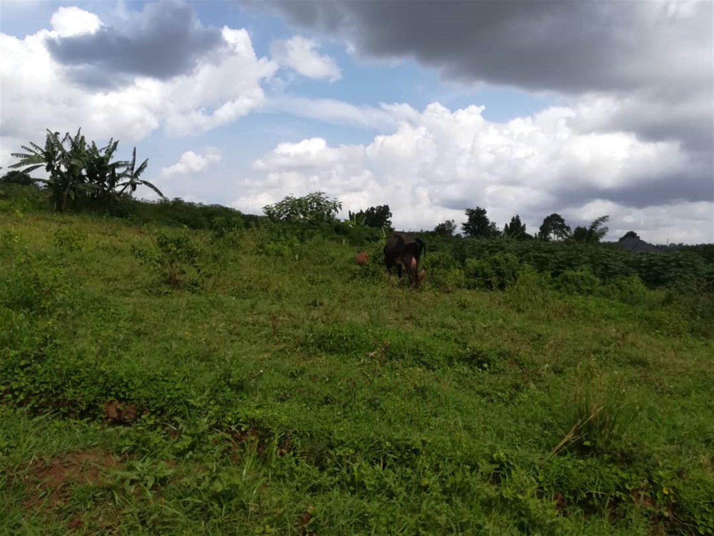 Residential Land for sale in Nabuuta Mukono