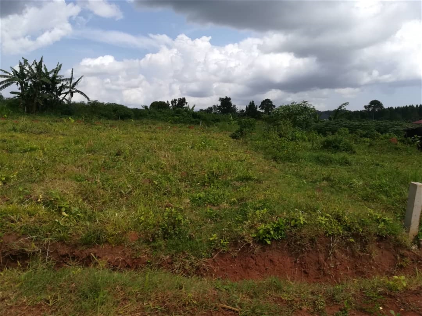 Residential Land for sale in Nabuuta Mukono