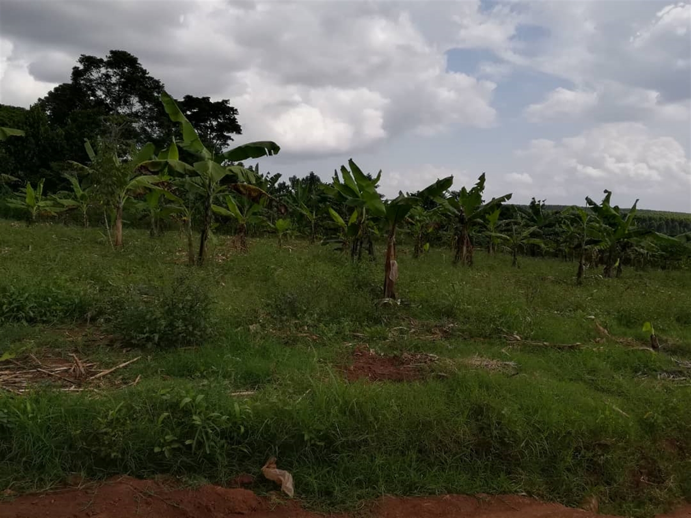 Residential Land for sale in Nabuuta Mukono