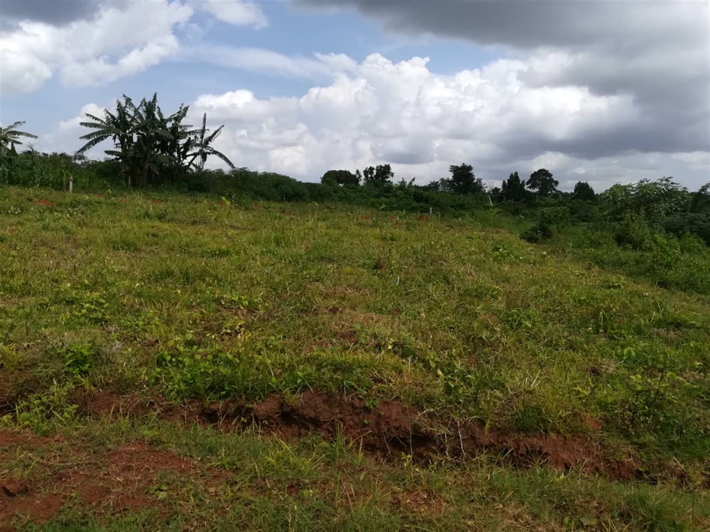 Residential Land for sale in Nabuuta Mukono